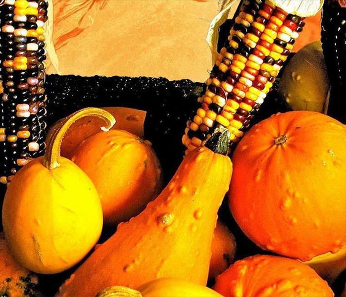 Fall pumpkins, harvested corn, gourds
